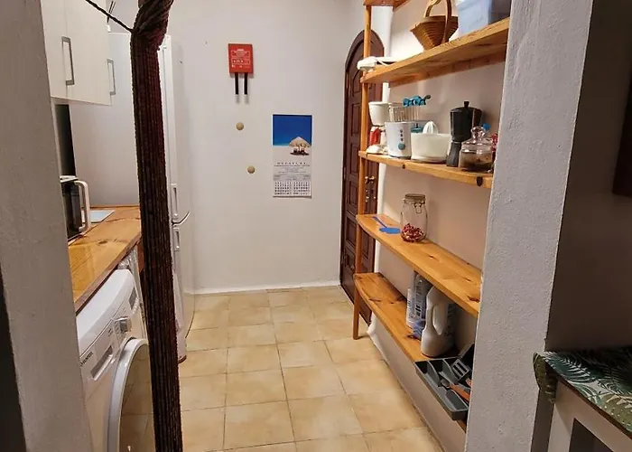 Harmony Charco del Palo