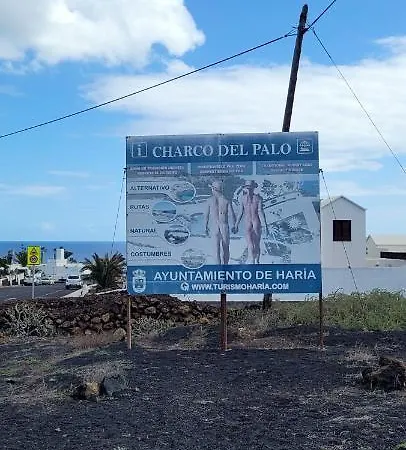 Harmony צ'ארקו דל פאלו